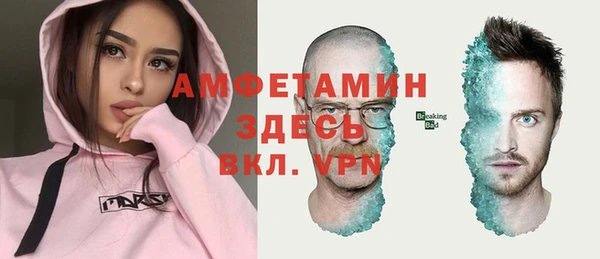 стаф Заводоуковск