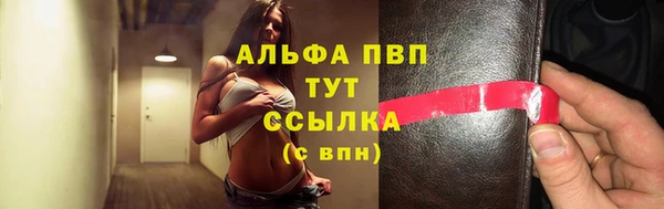 стаф Заводоуковск